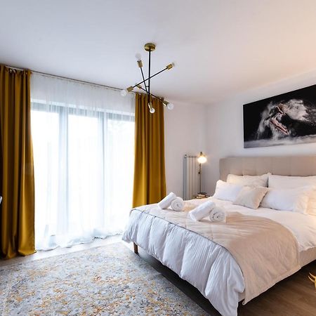 Quibio Apart Terrace Braşov Esterno foto