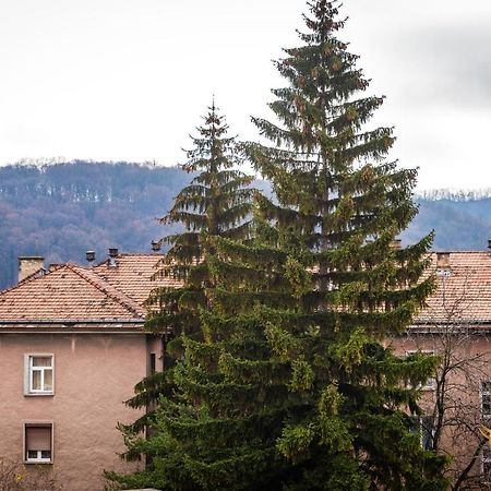Quibio Apart Terrace Braşov Esterno foto