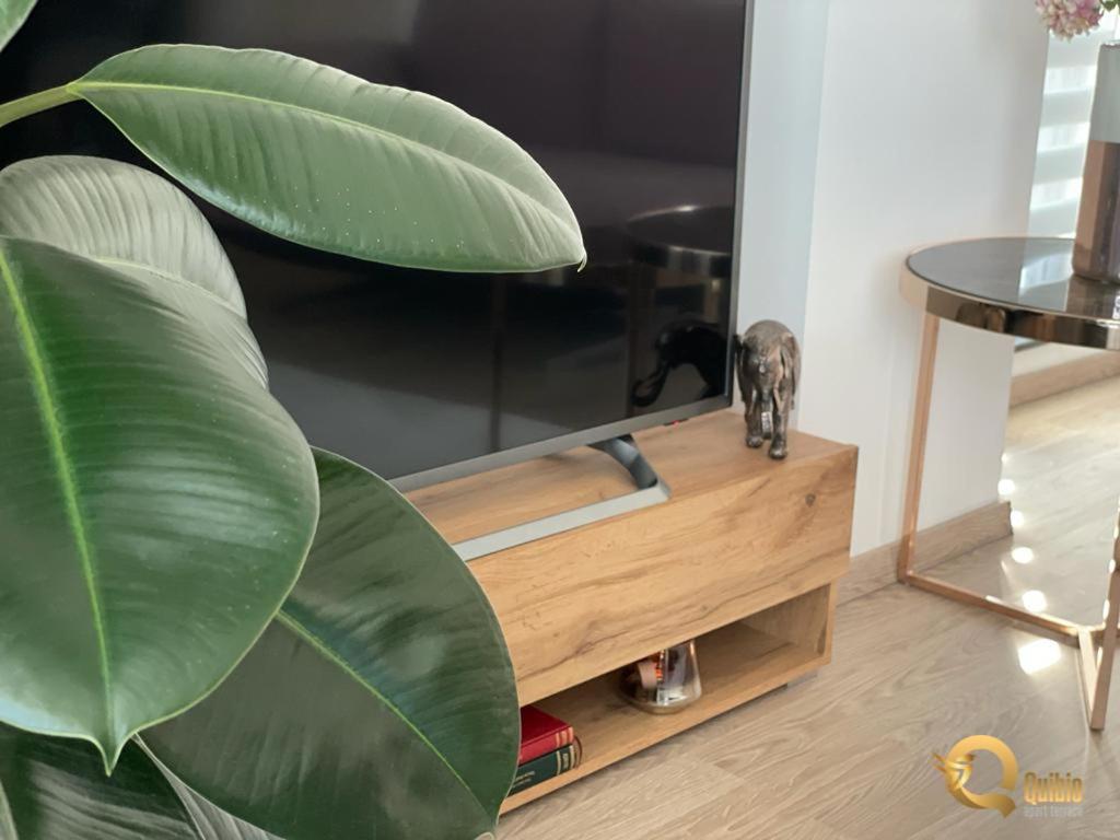 Quibio Apart Terrace Braşov Esterno foto