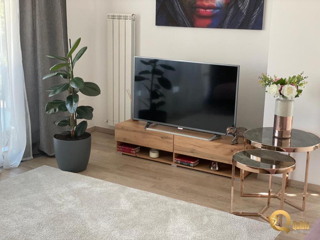 Quibio Apart Terrace Braşov Esterno foto